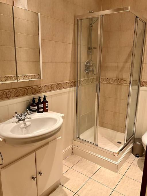 Magical Church Conversion In Watford Apartment Watford (Hertfordshire)